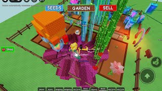 Giveing free moon melons big for free I got a lot commet your name