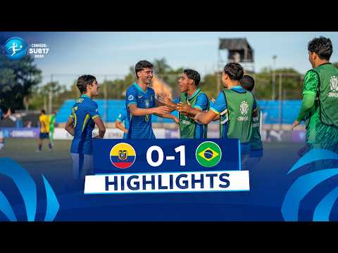 bg-highlight