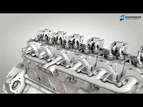Structure and function of the crankshaft.