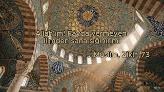 Peygamberimizin (sav) En Çok Korktuğu Şey! 🤲 #hadis