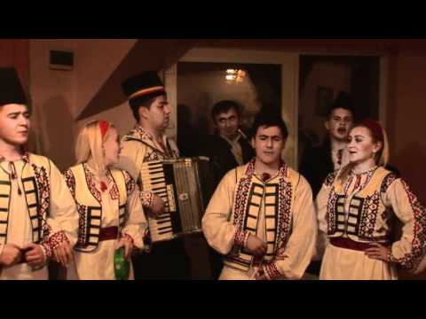 Ansamblul Floarea Crisului