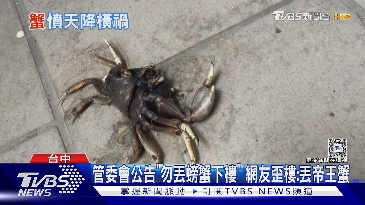 管委會公告「勿丟螃蟹下樓」 網友歪樓:丟帝王蟹