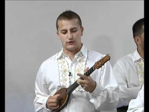 TS Taliri - Oj Jelo, Jeleno