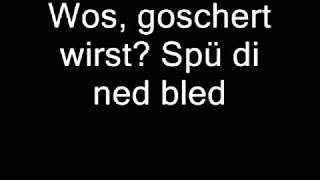Wolfgang Ambros - G'söchta (Lyrics)
