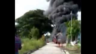 preview picture of video 'trato mula  quemada'