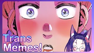 Some Really Euphoric TRANS Memes | r/traaaaa
