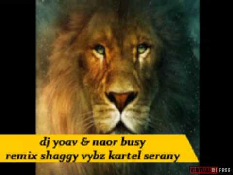 dj yoav & naor busy -  remix shaggy vybz kartel serany.