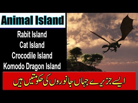 Animal Islands In Urdu - Komodo Dragon Rabbit Cat and Ramree Island - Full Urdu Documentary