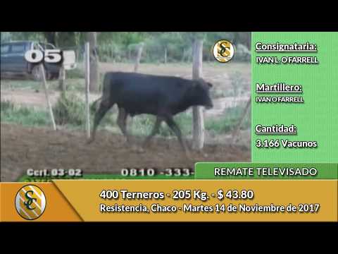 14-11-17 - Ventas Remate Televisado de Ivan O Farrell - Resistencia, Chaco