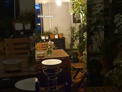 パーゴラに適したつる性の植物はどれですか?高く成長する美しい花を咲かせる7つの品種  庭園