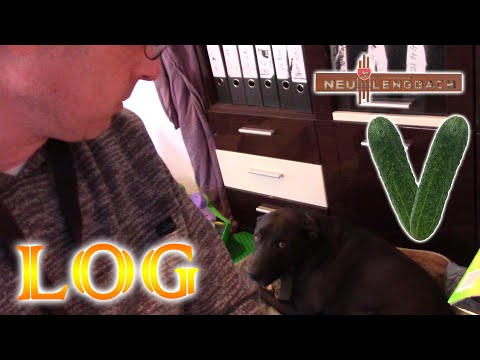 #NeulengbachVLog 2021-05-08 | Matsch am Ende der Vorbereitungen im Kinderkram | CV-00420