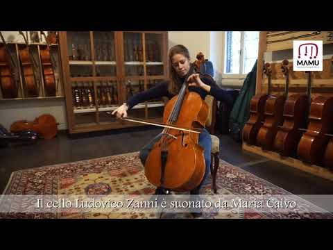 Violoncello Ludovico Zanni - Cremona 2020