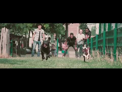 Y.B Hustle - On The Block ( Official Video)