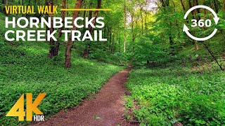 8K Virtual Hike on Hornbecks Creek Trail with Real Sounds - Nature of Pennsylvania in 360° VR