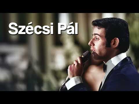 Szécsi Pál: A távollét