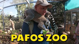 Pafos Zoo | Cyprus