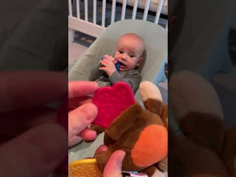 Oral Motor Activity