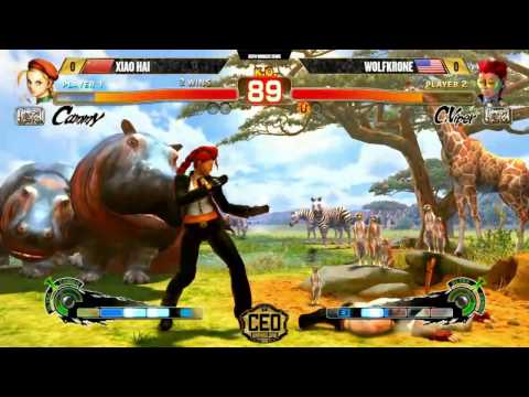 "BBR" USF4 AT CEO2016 - XIAO HAI vs WOLFKRONE  (1080p HD)