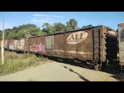 FILMEI O TREM PASSANDO PRÓXIMO A LEONARDO INTERIOR DE RESERVA-PR 