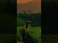 Tujhme Khoya Rahu Main Whatsapp Status ️ Lyrics Status Phir Kabhi Song Shorts