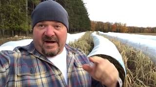 Opening Up The Sorghum Baleage!!!!! Opening Up The Sorghum Baleage!!!!!