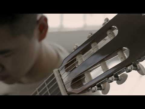 Altamira N100 Guitar | Product Demonstration