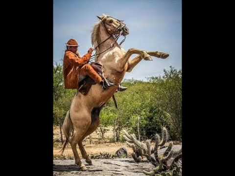 DEUS NÃO ME ABANDONE NESTA HORA
