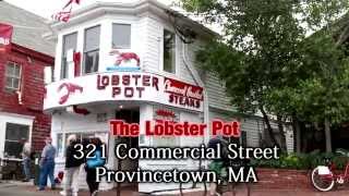 Lobster Pot P-town '14 w/Shawn McNulty~Stephen Holt Show