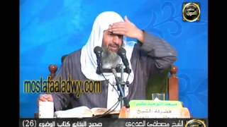 شرح صحيح البخارى   كتاب الوضوء 26