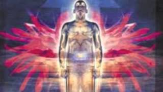 The Flower Kings - Devill's Playground