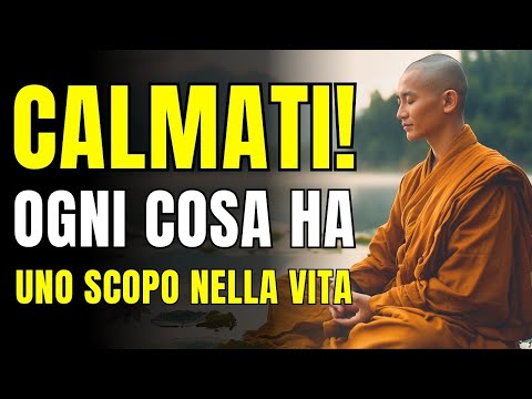 CALMATI! TUTTO NELLA VITA ACCADE PER UNA RAGIONE | Riflessione Buddista | Buddismo