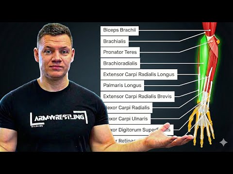 Armwrestling Muscle Breakdown: The Key Muscles You Need to Train for Maximum Power
