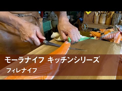 モーラ (魚)について詳しく解説