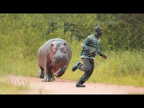 Never Mess With These Cute Looking Wild Animals