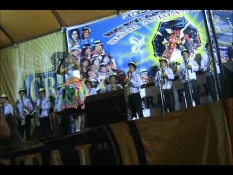 LUZ DEL MANTARO  C. S  PUNO