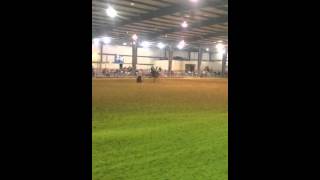 Samantha Weaver and No Wonder I'm Special 15.7 at silver sa