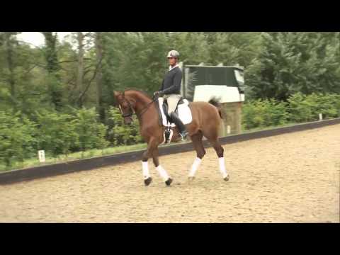 The best of the London 2012 Olympics: Carl Hester dressage