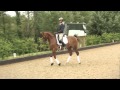 The best of the London 2012 Olympics: Carl Hester ...