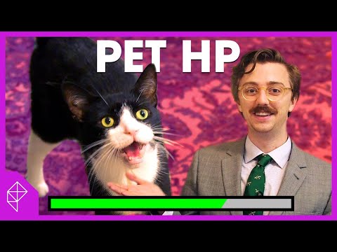 Calculate your pet's HP with my 100% legitimate formula | Unraveled