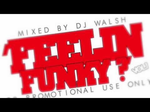 DJ Walsh - Summer Show Me Love Mashup 2010!!
