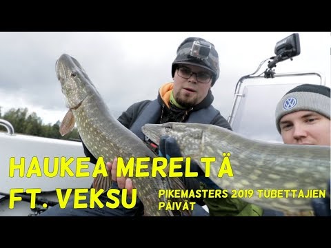 Haukea mereltä ft. Veksu | PikeMasters 2019 Tubettajien päivät