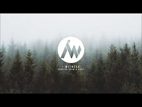 The Insiders - The Rhythm (Random Movement Remix)