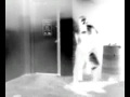 Janelle Monae Locked Inside (Music Video)