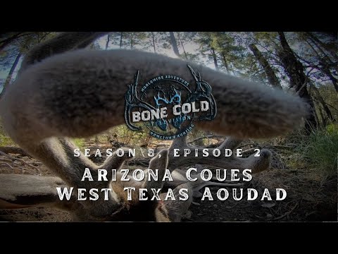 Season 8 Episode 2 Arizona Coues Deer and West Texas Aoudad