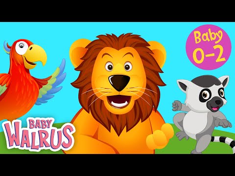 Spass am Lernen #3 | Dschungeltiere #1 | Zählen & Farben | Lernen