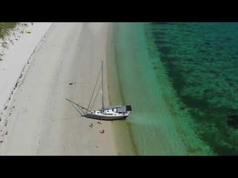 Snow Gum - Beached! Garcia Exploration 45