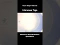 Ultraman Tiga Transformation