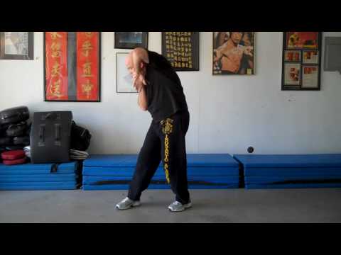 Biu Tze - Third Form - Pan Nam Wing Chun