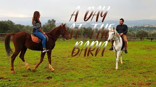 We Went Horse Riding For The First Time Together .. ذهبنا معًا لركوب الخيل لأول مرة