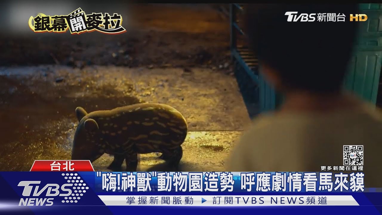 《嗨！神獸》動物園造勢呼應劇情看馬來貘　演員們直呼太可愛